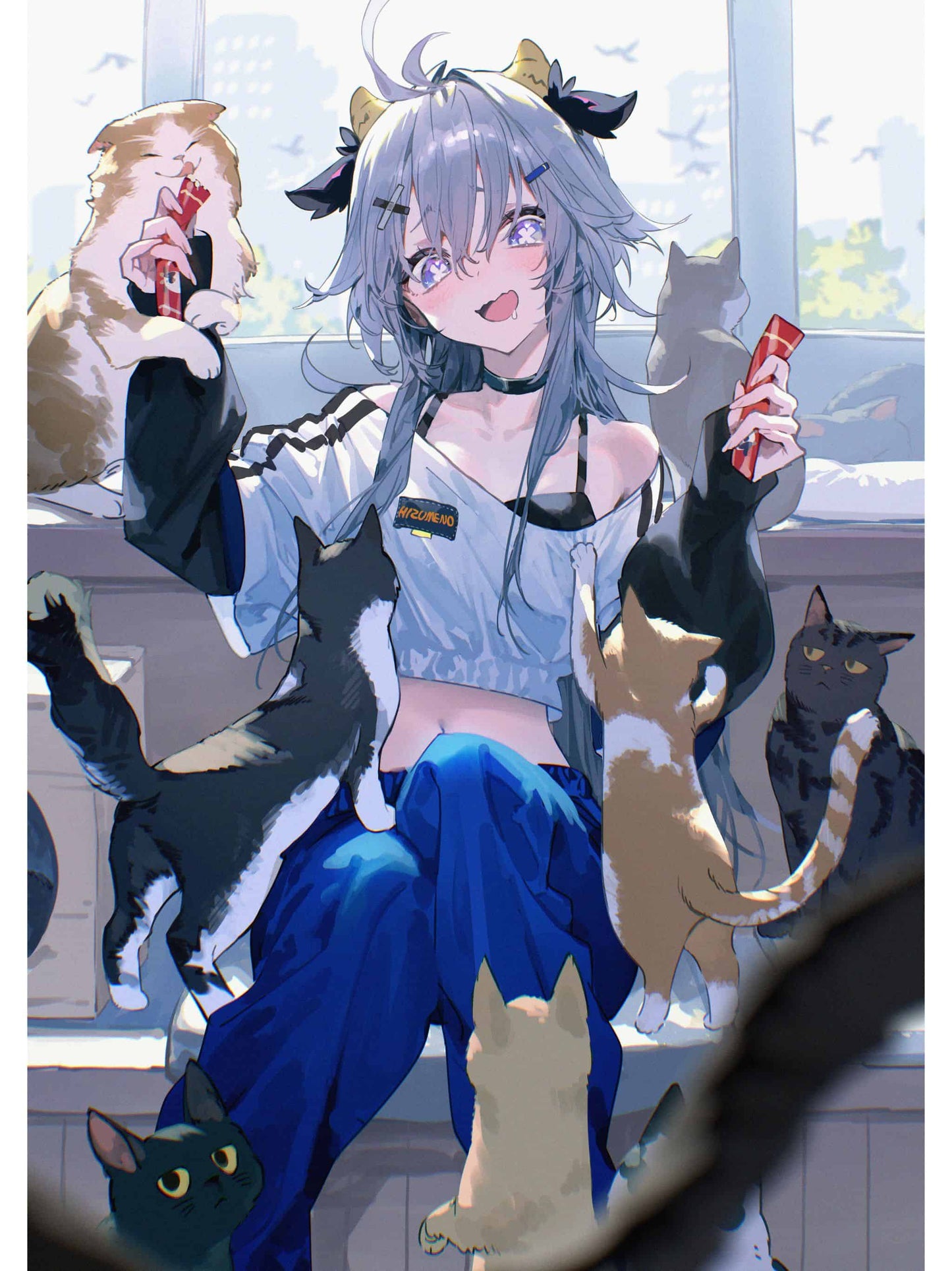 猫
